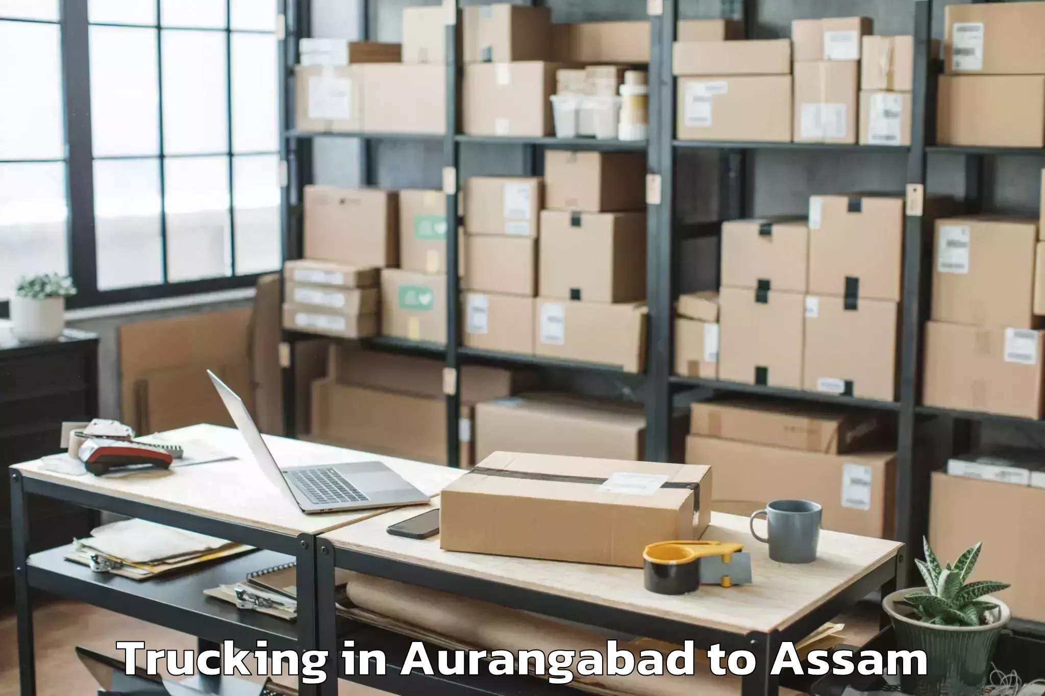 Leading Aurangabad to Silapathar Trucking Provider